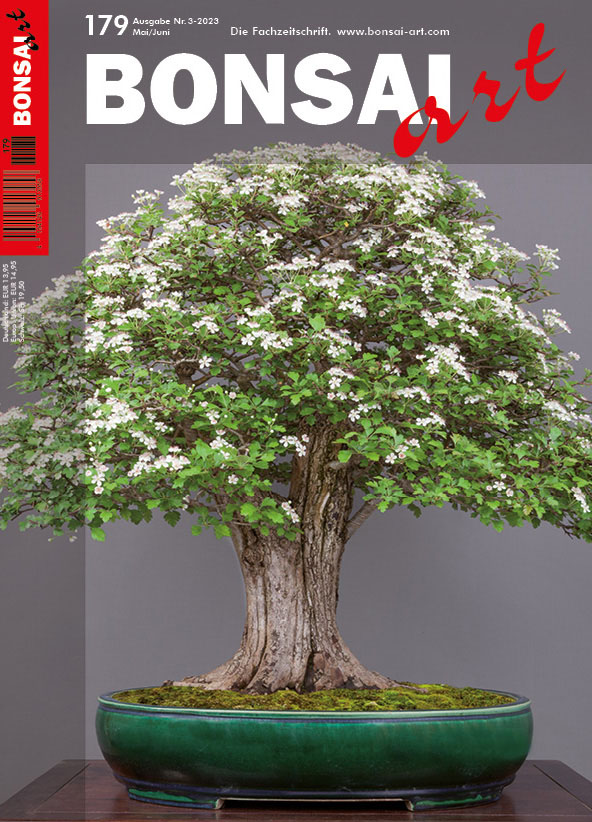 BONSAI ART 179 – Mai/Juni 2023