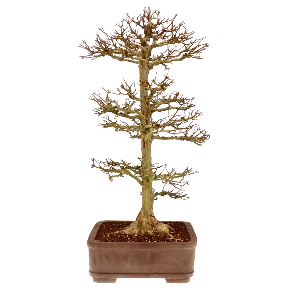 Slider Bild Slider Bild