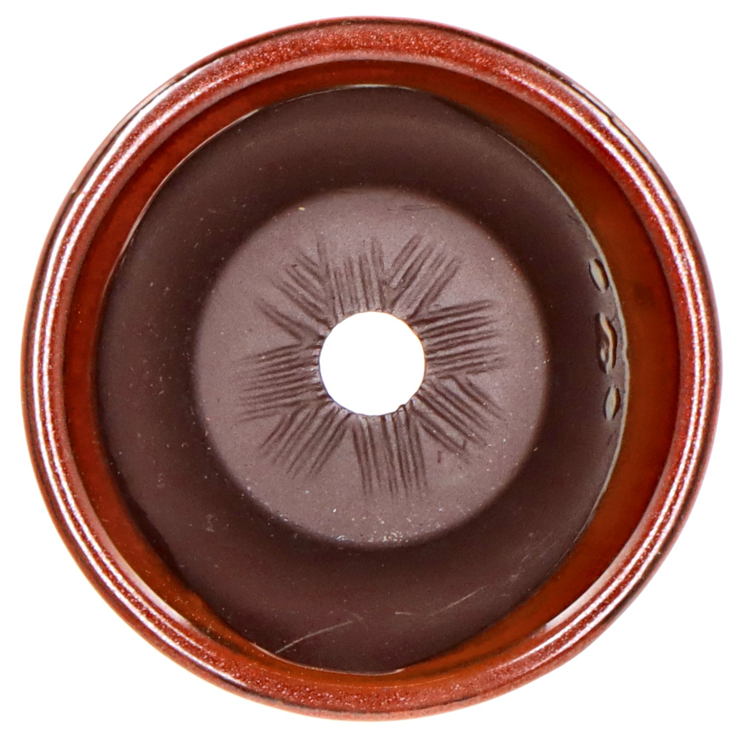 bonsai.fallbackImageTitle