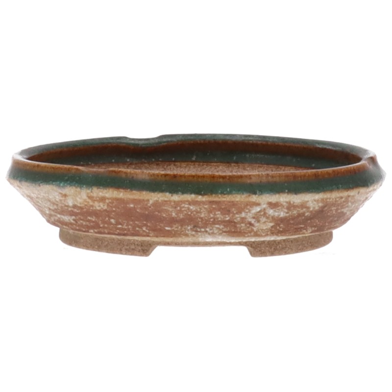 Bonsaischale aus der Töpferei SHOZAN , aus dem für seine Keramik-Produkte weltberühmten Ort Tokoname.
Die traditionsreichen Töpfereien in Tokoname stellen schon seit Jahrhunderten Schalen für Bonsai her und werden besonders für ihre überragende Ausführung