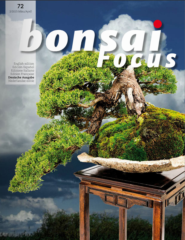 Bonsai-Focus 100 Nov/Dez 2019