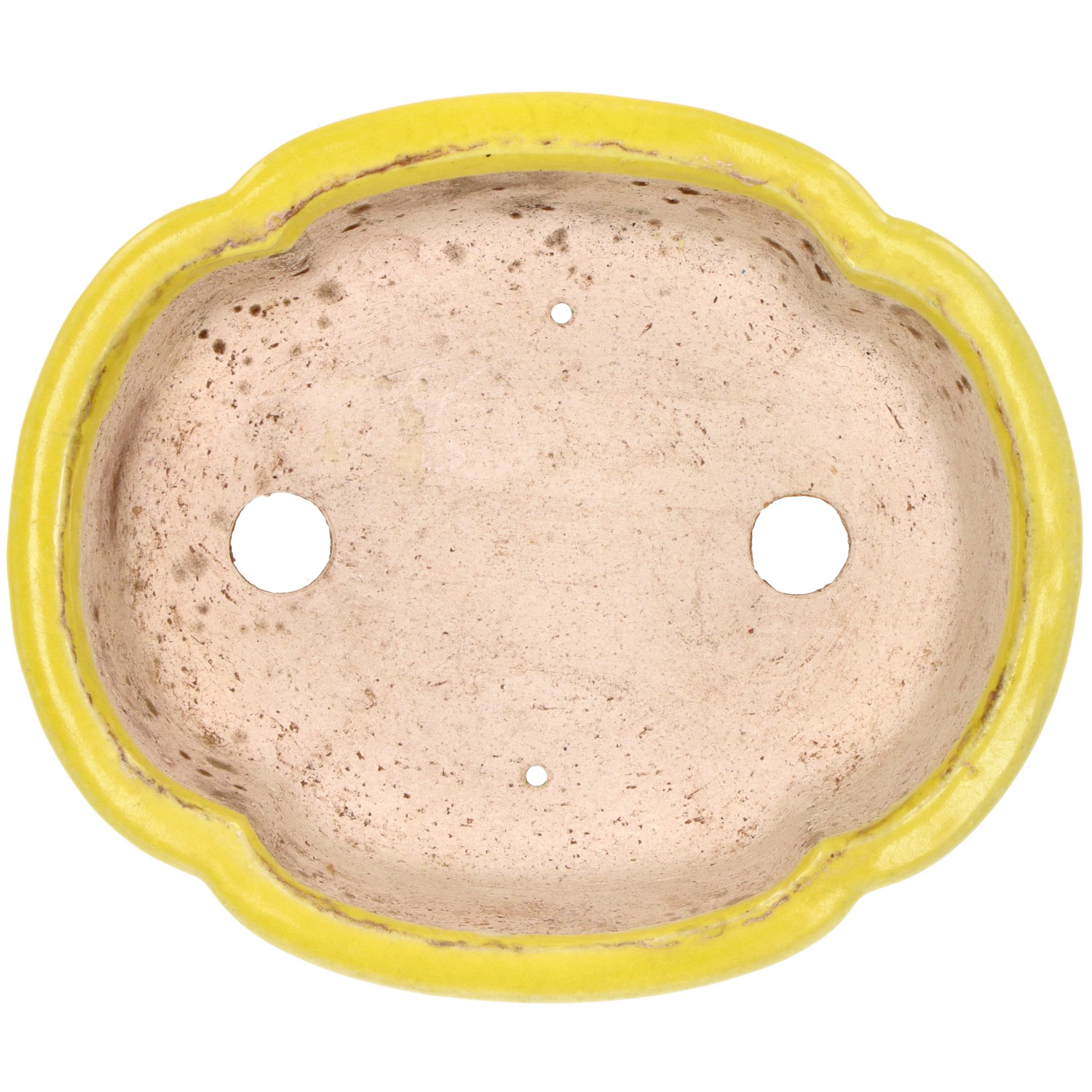 Vaso Tokoname HATTORI