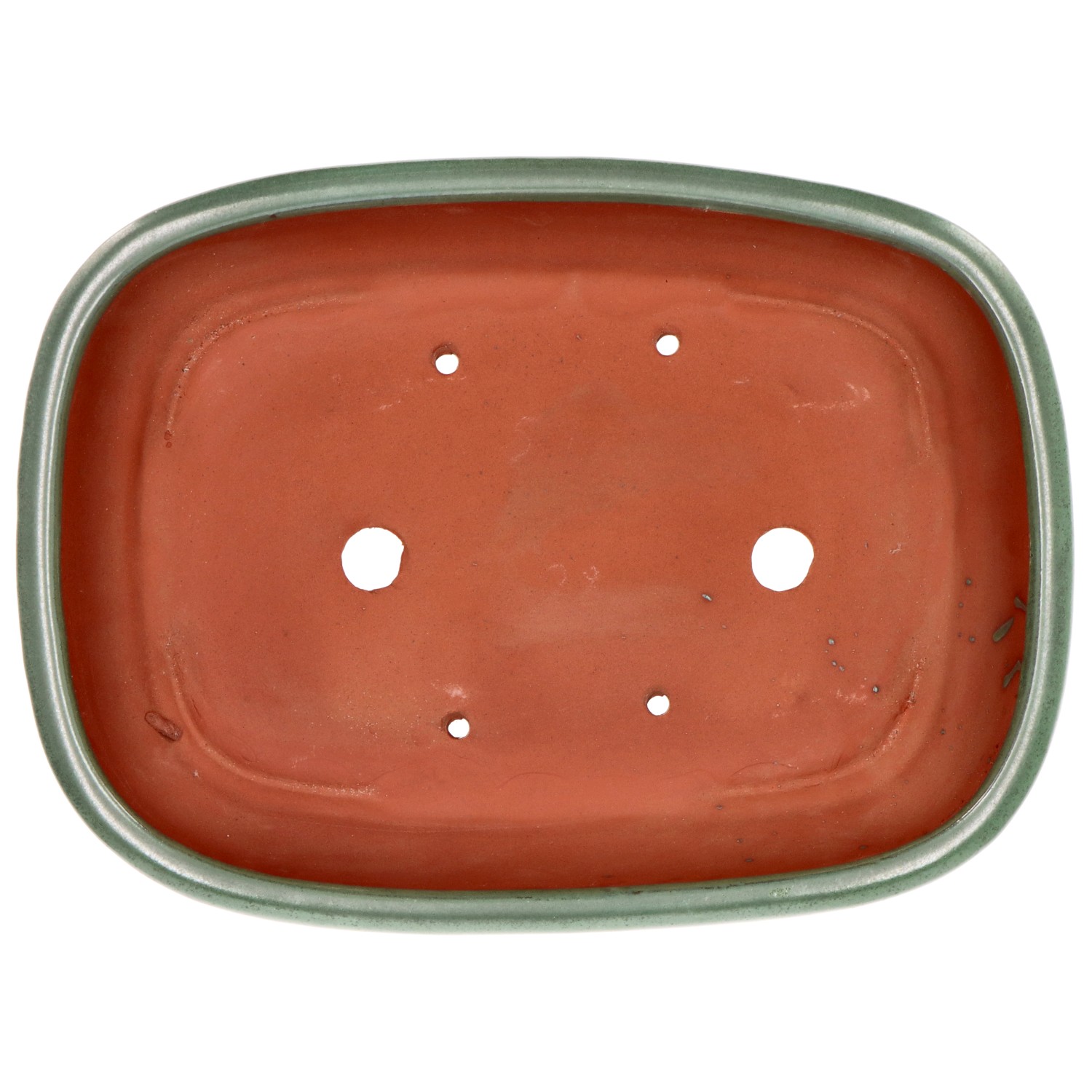 bonsai.fallbackImageTitle