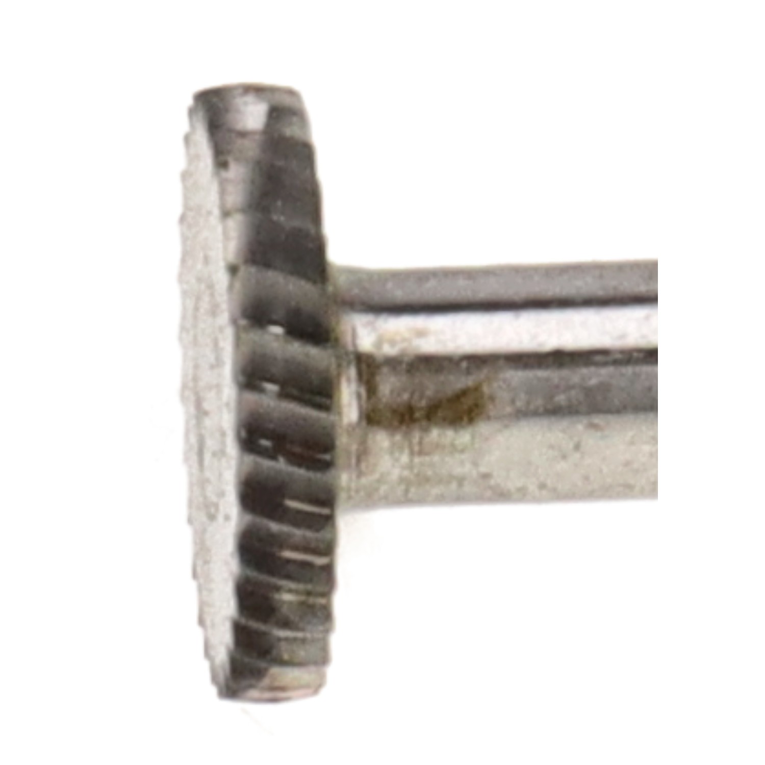 bonsai.fallbackImageTitle bonsai.fallbackImageTitle