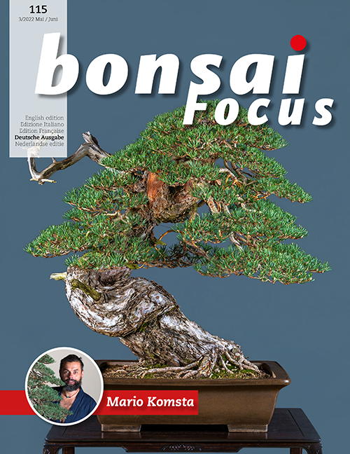 Bonsai-Focus 115 Mai / Juni 2022 Bonsai-Focus 2022 (115), Mai/Juni
