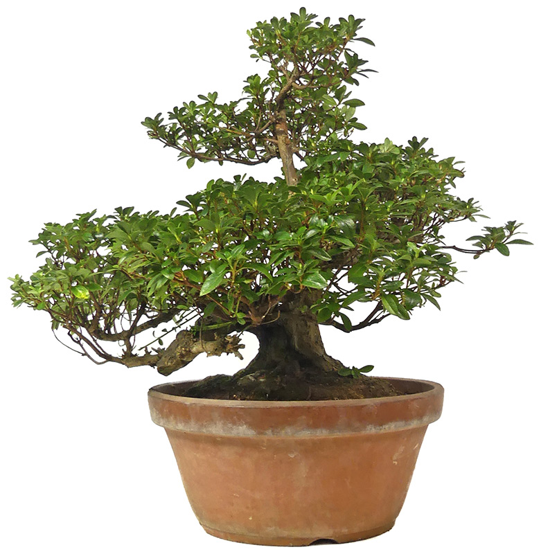 Slider Bild Slider Bild