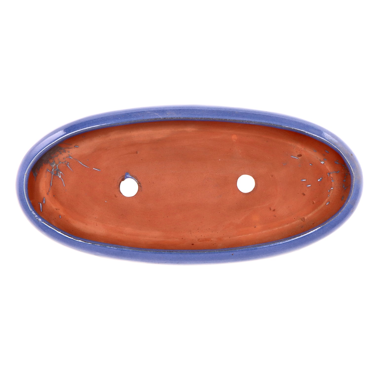 bonsai.fallbackImageTitle