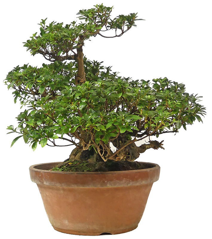 Slider Bild Slider Bild