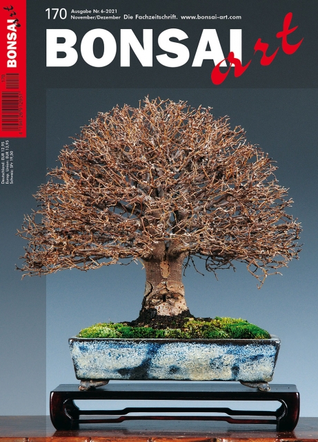 BONSAI ART 2021 (170), Nov/Dez. BONSAI ART 2021 (170), Nov/Dez.