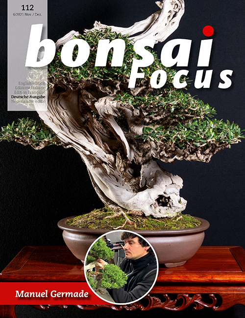 Bonsai-Focus 112 November/Dezember 2021 Bonsai-Focus 2021 (112), Nov/Dez.