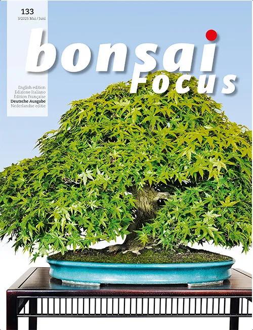 Bonsai-Focus 2025 (133), Mai/Jun. Bonsai-Focus 2025 (133), Mai/Jun.