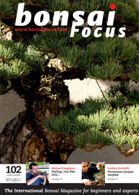 Bonsai-Focus 2010 (41), Jan/Feb. Bonsai-Focus 2010 (41), Jan/Feb.