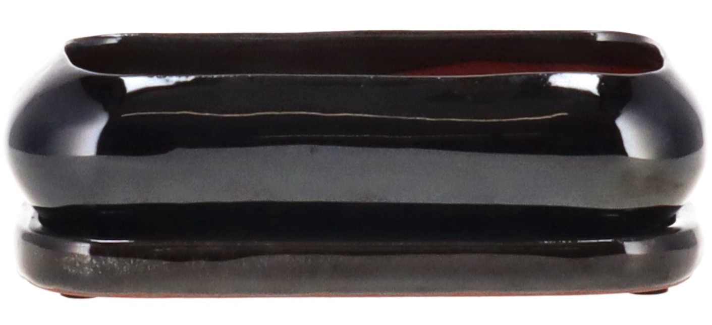 Vaso per bonsai (Set)