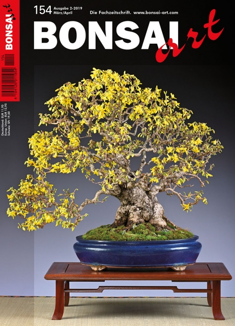BONSAI ART 154 März/April 2019 ALERIE
Best of 20 Years Trophy
AJAN-FICHTE
Masahiko Kimura – Lernen vom Profi: Neigungssache – Die Neugestaltung einer Ajan-Fichte mit stark geneigtem Stamm
UMTOPFEN
• Zurück zu den Wurzeln: Umtopfen auf professionelle Weise bei Fächer-Ahorn und Mädchen
