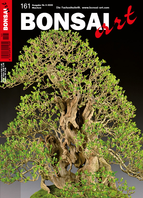 BONSAI ART 161 Mai/Juni 2020