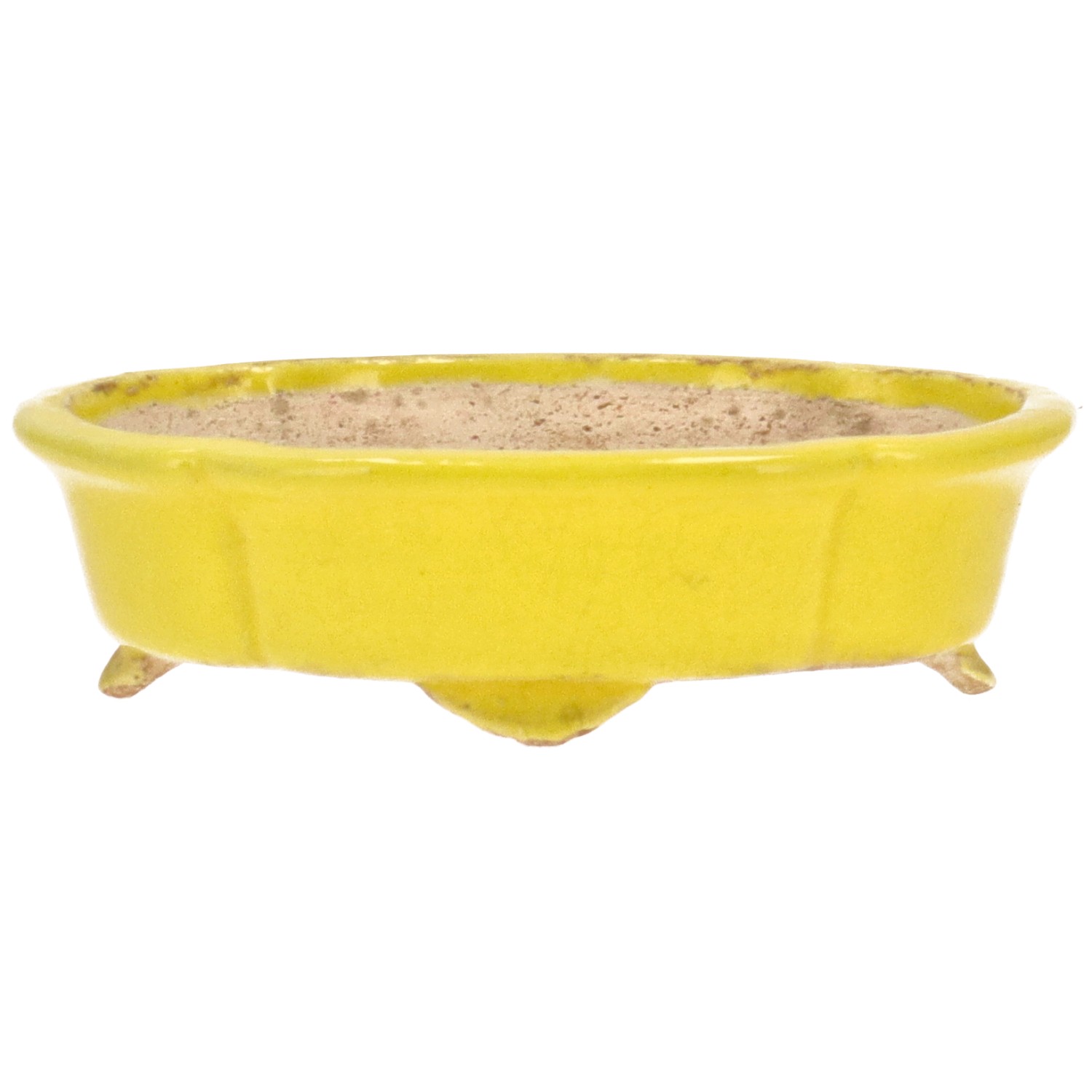 Vaso Tokoname HATTORI