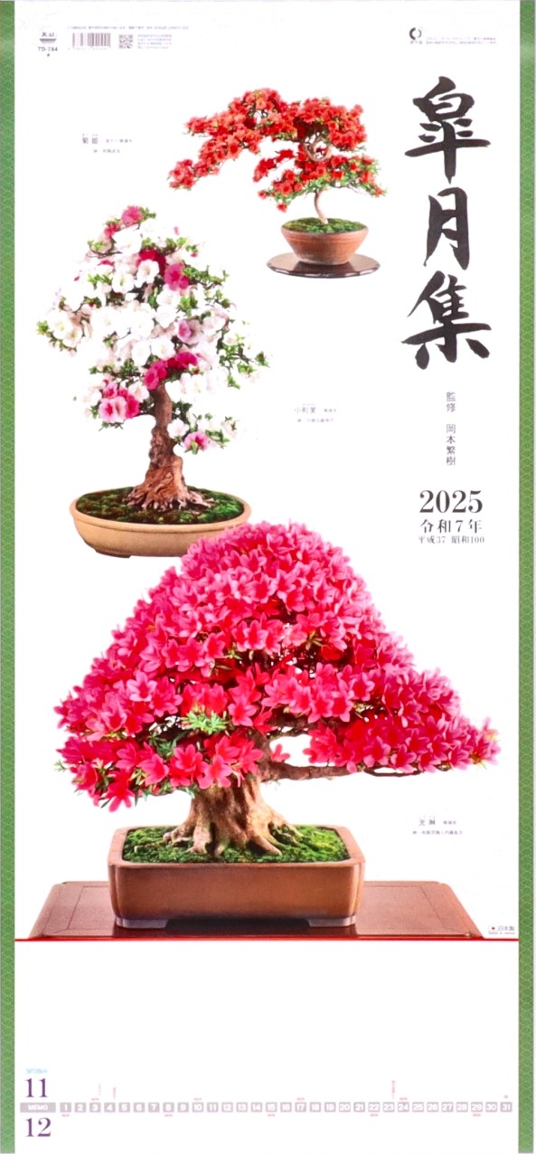 Calendario bonsai 2025 (Azalee)