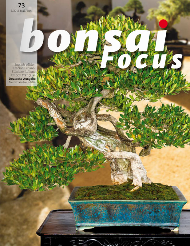 Bonsai-Focus 100 Nov/Dez 2019