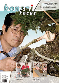 Bonsai-Focus 2008 (30), Mär/Apr. Bonsai-Focus 2008 (30), Mär/Apr.