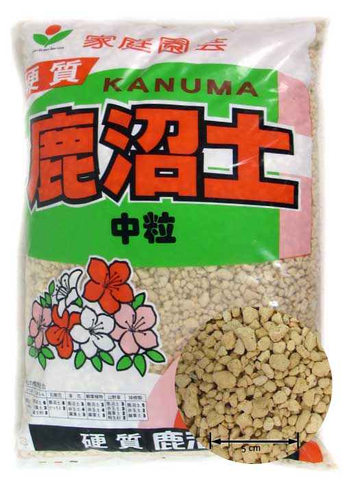 Kanuma ist eine japanische Bonsai-Erde für Azaleen und andere Rhododendron-Gewächse oder Moorbeet-Pflanzen. Sie ist sehr sauer und deswegen besonders für Azaleen geeignet, die einen pH-Wert um 4,5 -5,0 benötigen.