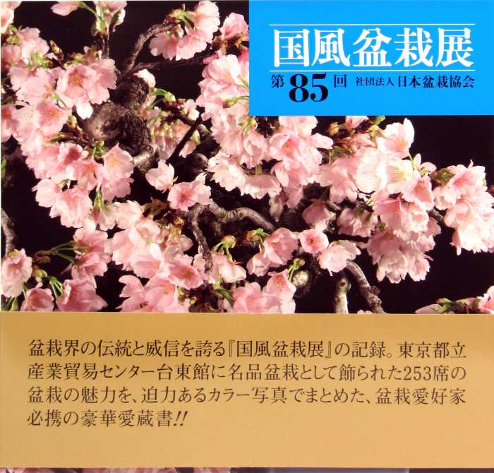 85. Jahrbuch (2011) von der alljährlich in Japan stattfindenden bedeutendsten Bonsai-Austellung. Auf über 280 Seiten zeigen Farbfotos viele schöne ausgezeichnete Bonsai.
 
Hochwertiger Bildband als Hardcover im Schuber, ca. 26 cm x 25 cm

Autor: Nippon Bo
