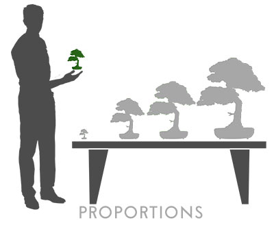 bonsai.fallbackImageTitle bonsai.fallbackImageTitle