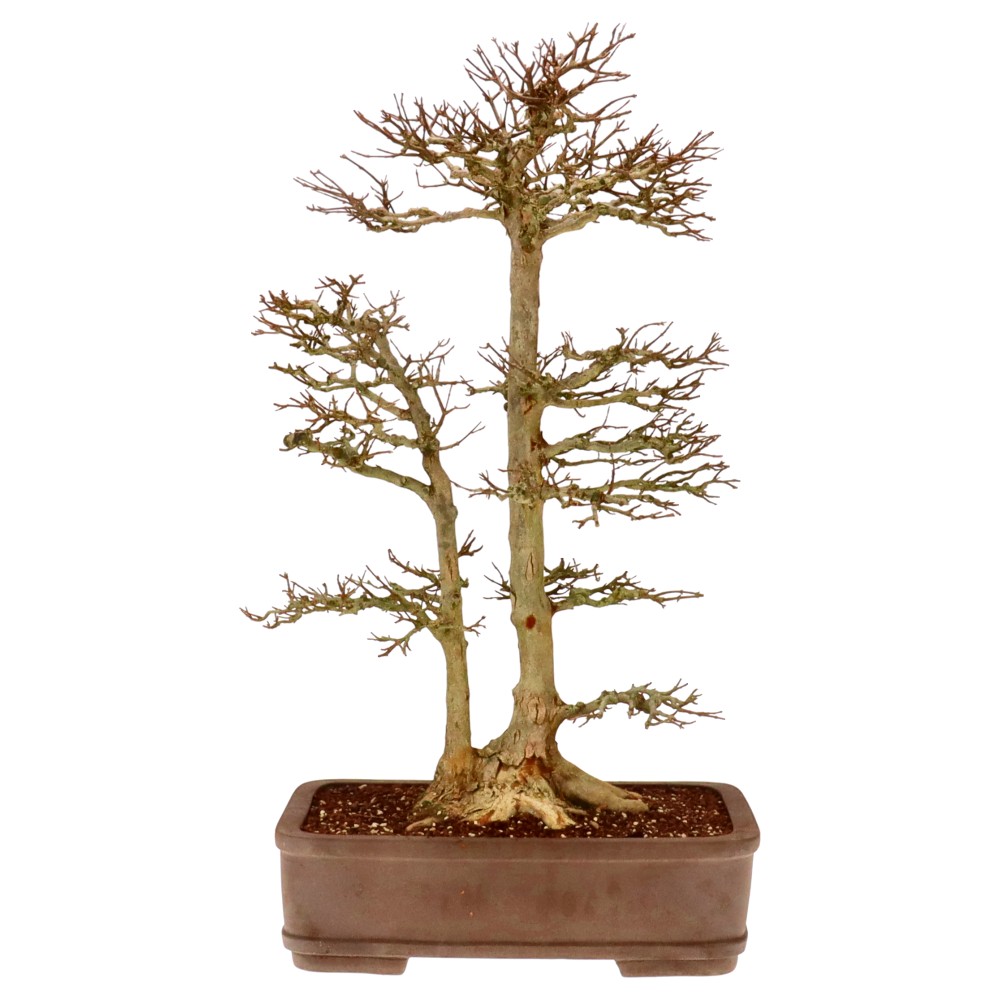 Slider Bild Slider Bild