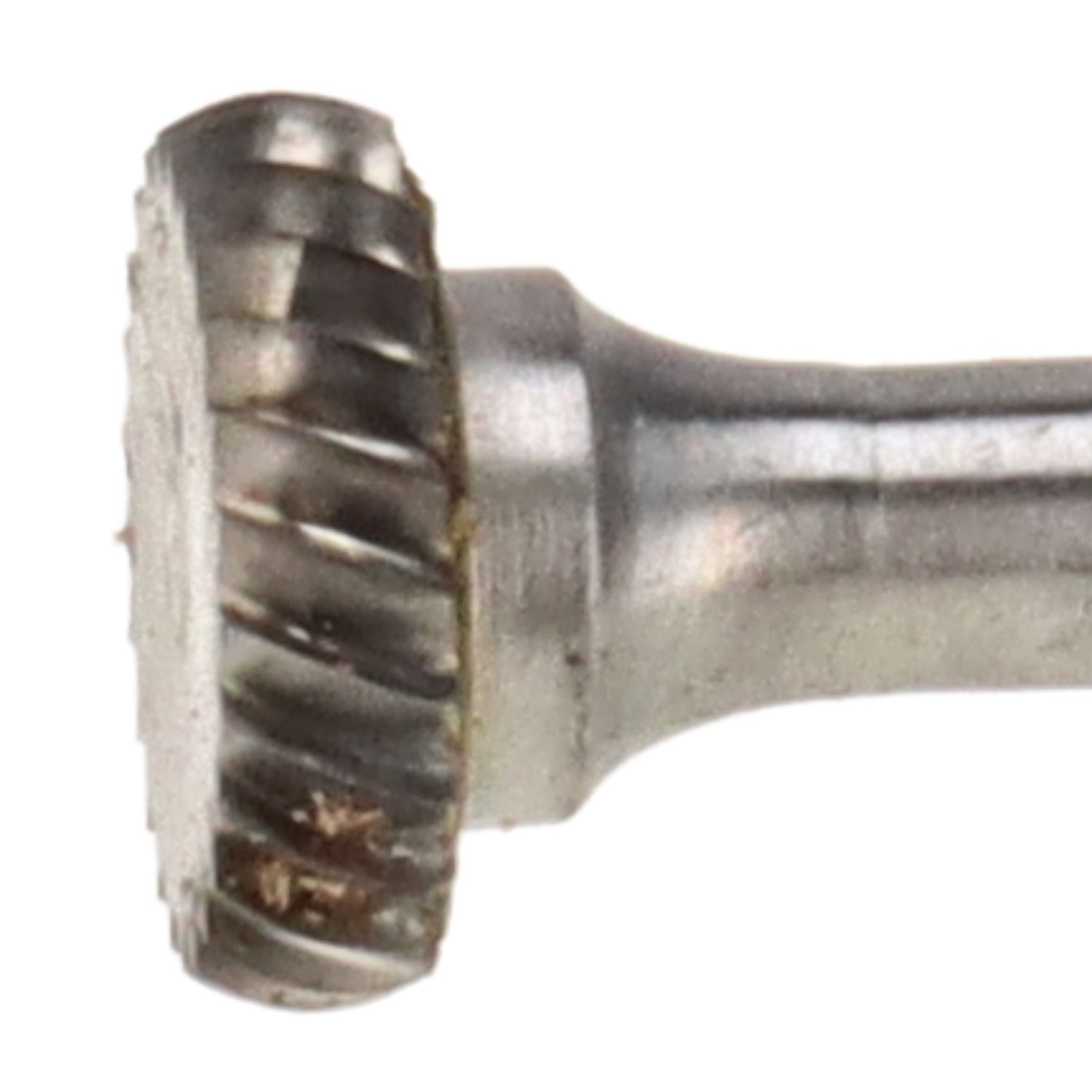 bonsai.fallbackImageTitle bonsai.fallbackImageTitle