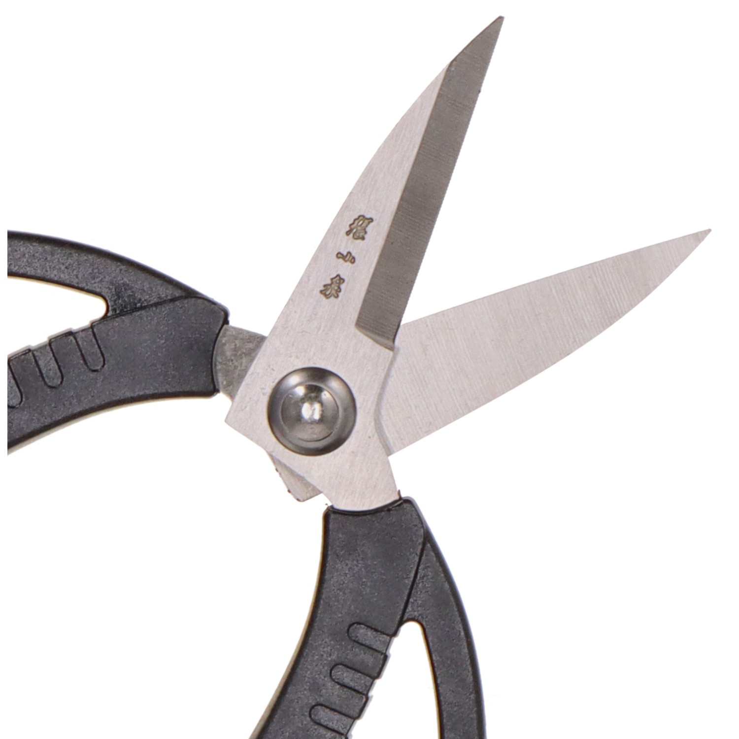 Ciseaux à bonsaï (190 mm), acier inoxydable, avec manche en plastique