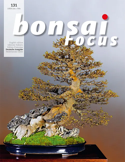 Bonsai-Focus 2025 (131), Jan/Feb.