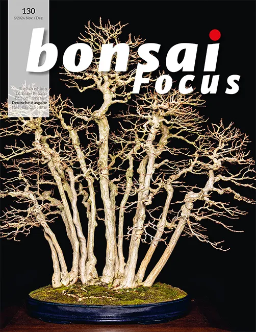 Bonsai-Focus 2024 (130), Nov/Dez. Bonsai-Focus 2024 (130), Nov/Dez.