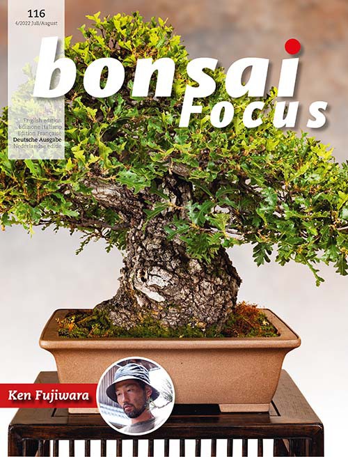 Bonsai-Focus 116 Juli / August 2022 Bonsai-Focus 2022 (116), Juli/Aug.