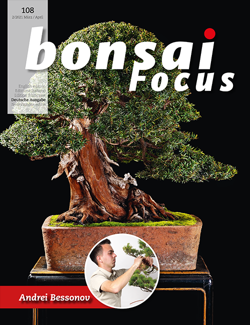 Bonsai-Focus 108 März/Apr. 2021 Bonsai-Focus 2021 (108), Mär/Apr.