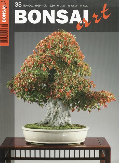 BONSAI ART 38 Nov./Dez. 1999