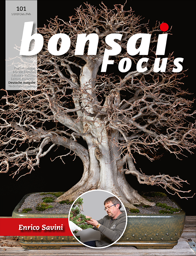 Bonsai-Focus 101 Jan/Feb 2020