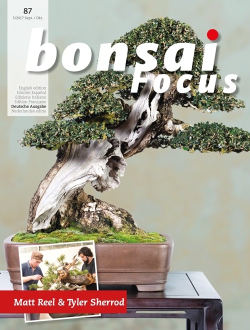 Bonsai-Focus 2017 (87), Sep/Okt. Bonsai-Focus 2017 (87), Sep/Okt.