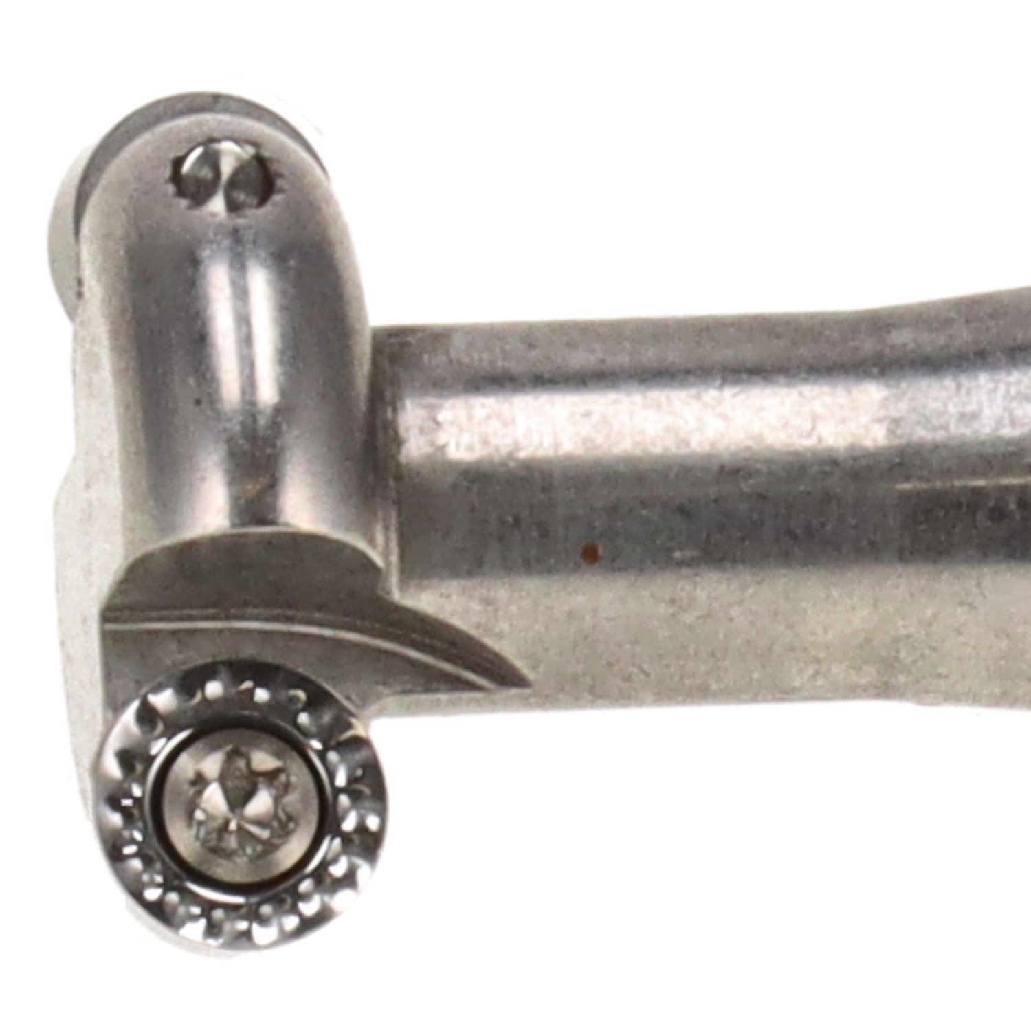 bonsai.fallbackImageTitle bonsai.fallbackImageTitle