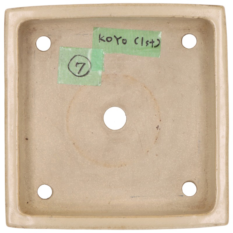 Slider Bild Slider Bild