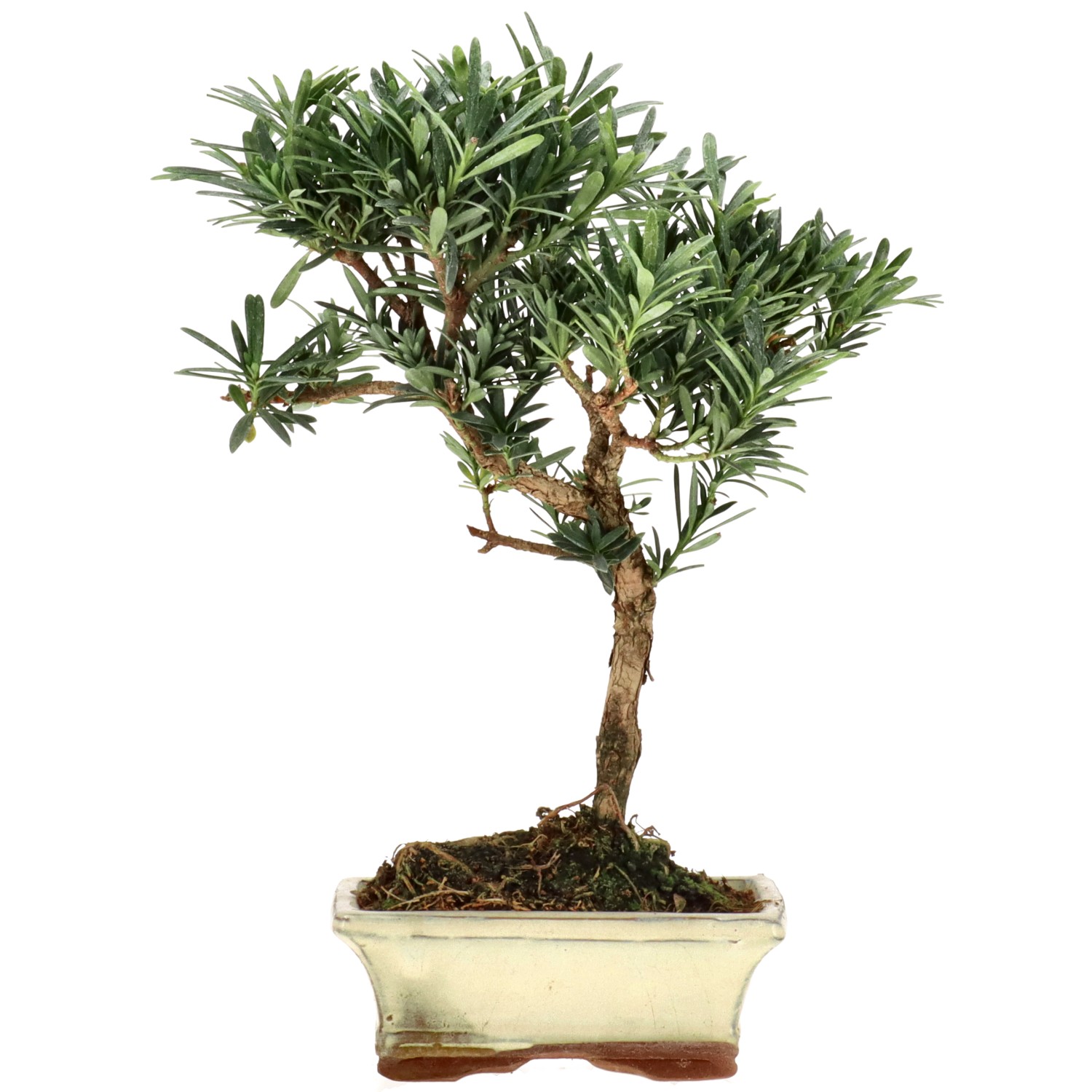 Japanse boeddah-den, ca. 7 j. (27 cm)