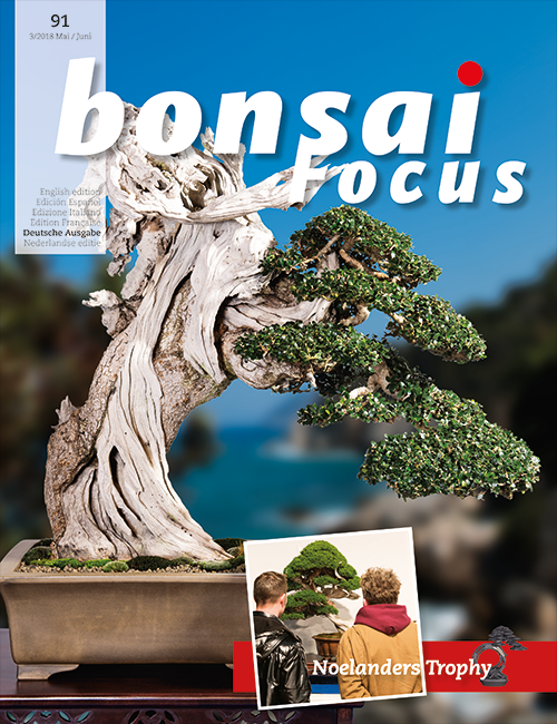 Bonsai-Focus 100 Nov/Dez 2019