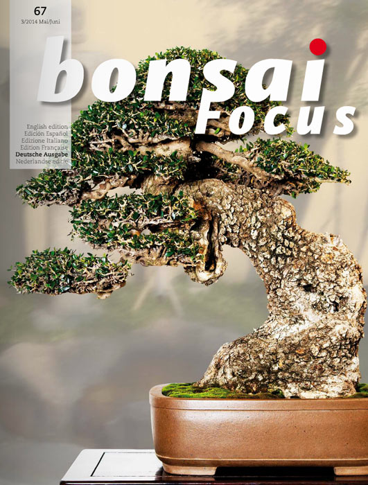 Bonsai-Focus 2014 (67), Mai/Juni Bonsai-Focus 2014 (67), Mai/Juni
