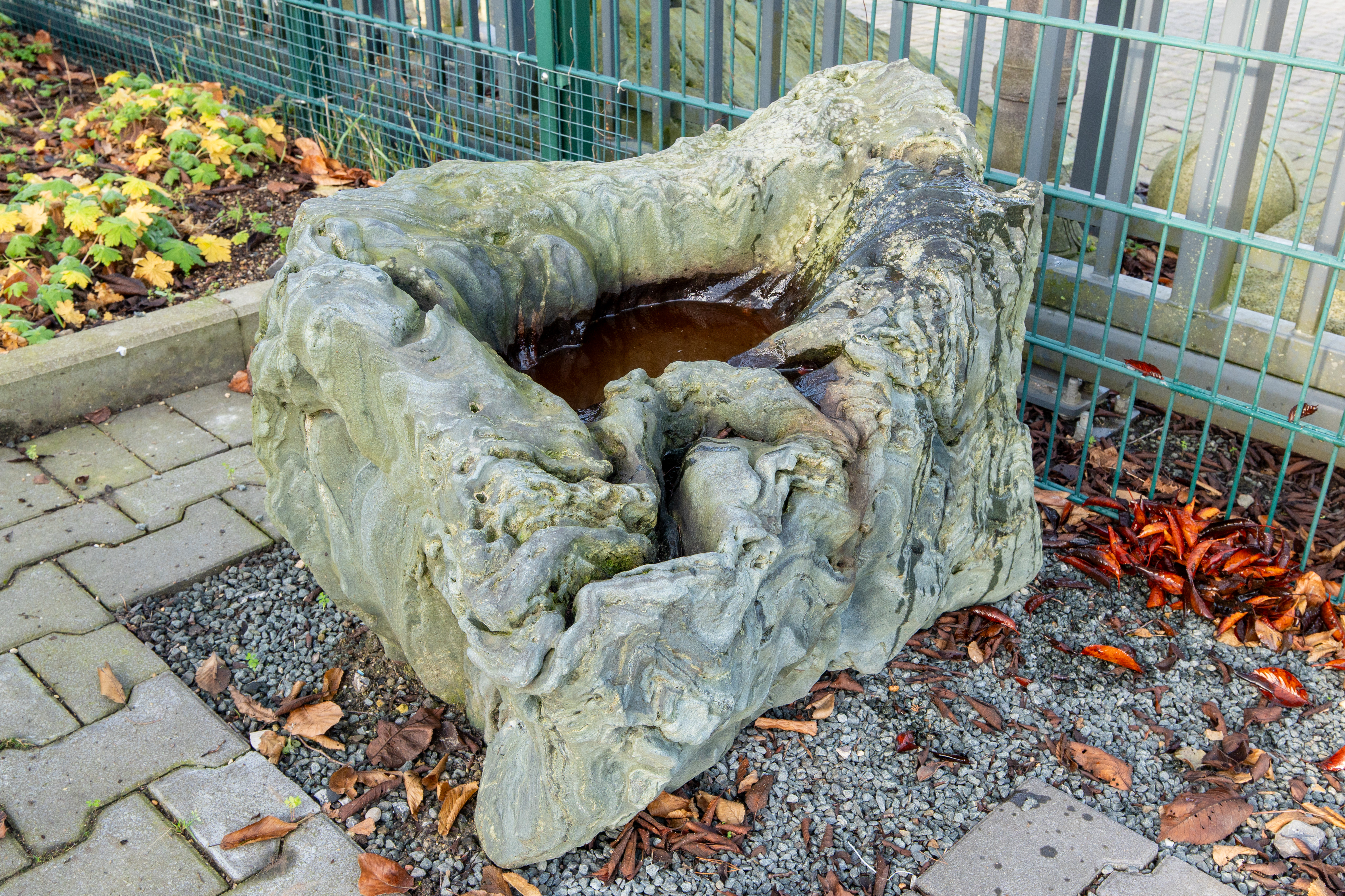 bonsai.fallbackImageTitle