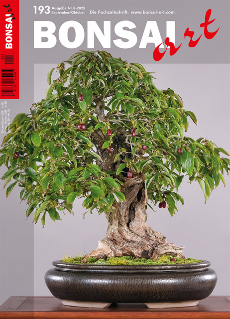 BONSAI ART 2025 (193), Sep/Okt.