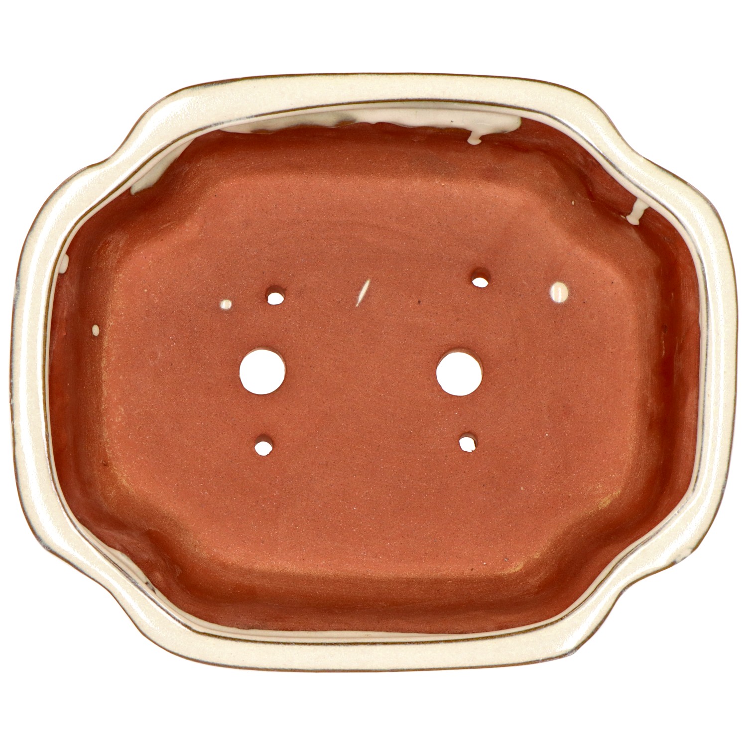 Pot