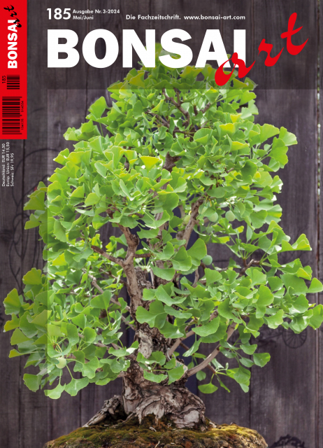 BONSAI ART 2024 (185), Mai/Juni BONSAI ART 2024 (185), Mai/Juni