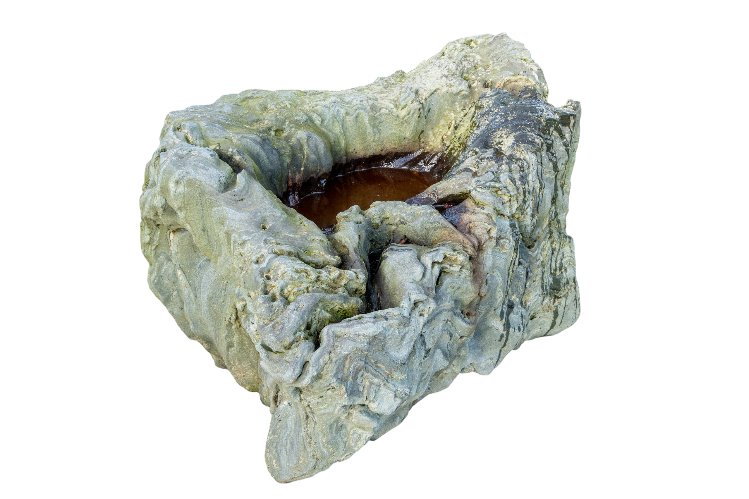 bonsai.fallbackImageTitle