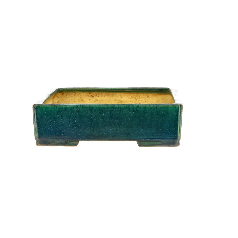 bonsai.fallbackImageTitle