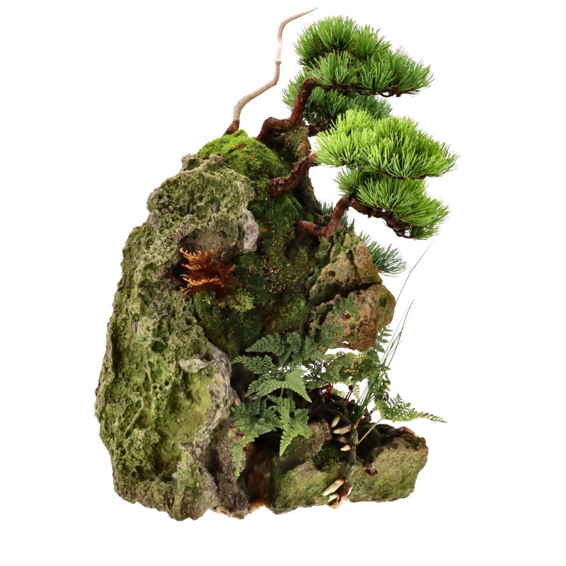 Mädchenkiefer, ca. 12 J. (34 cm) Felsenpflanzung
Gesamthöhe inklusive Felsen: 55 cm