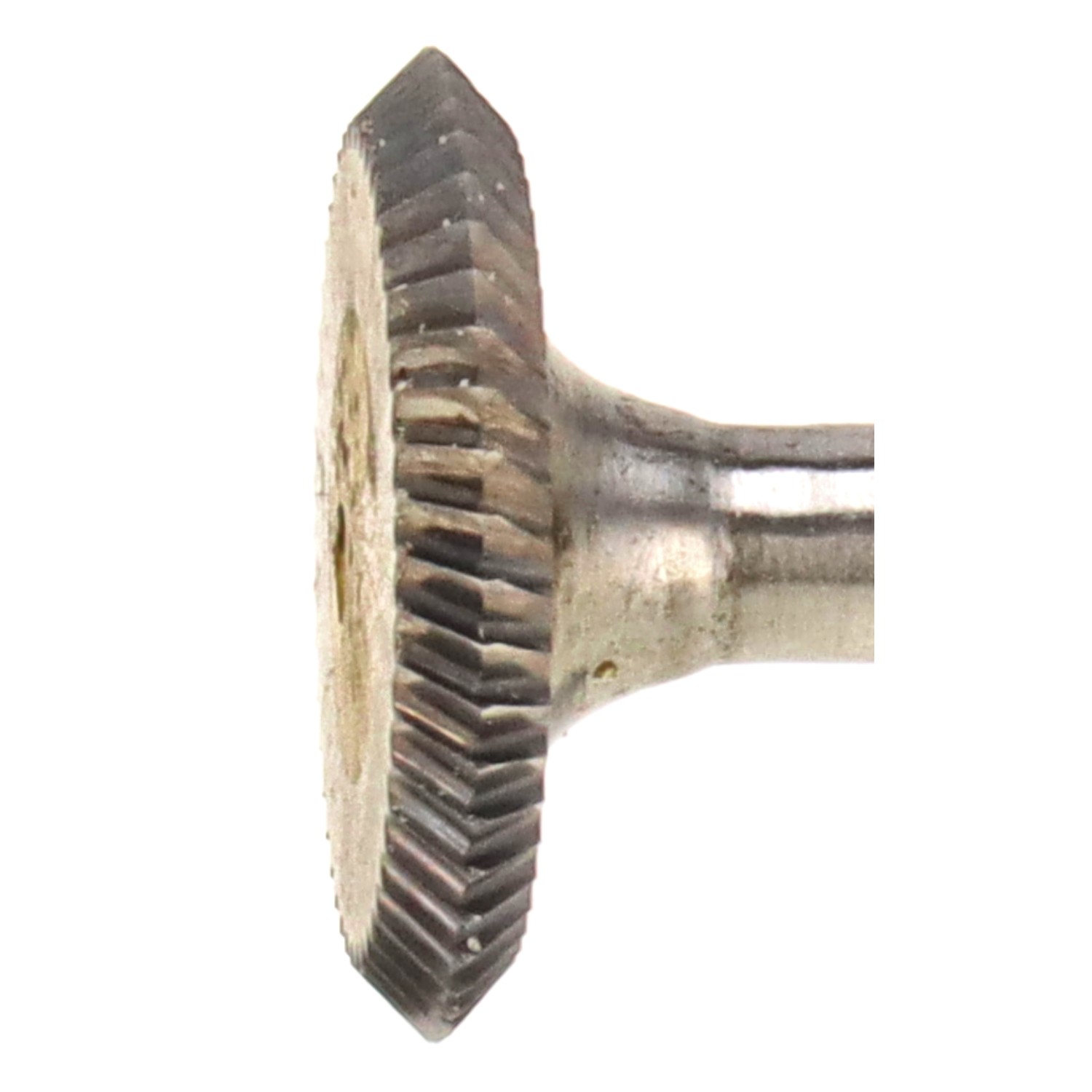 bonsai.fallbackImageTitle bonsai.fallbackImageTitle