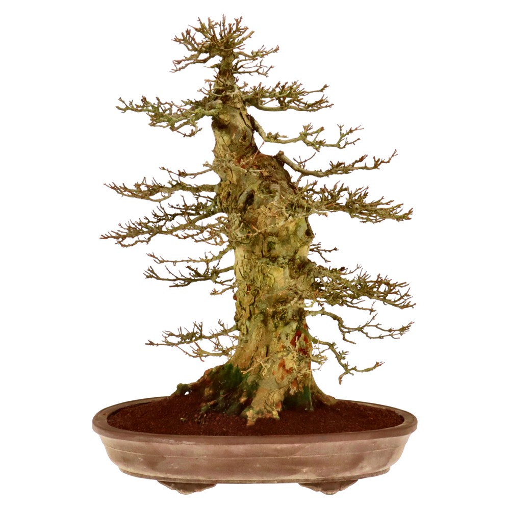 Slider Bild Slider Bild